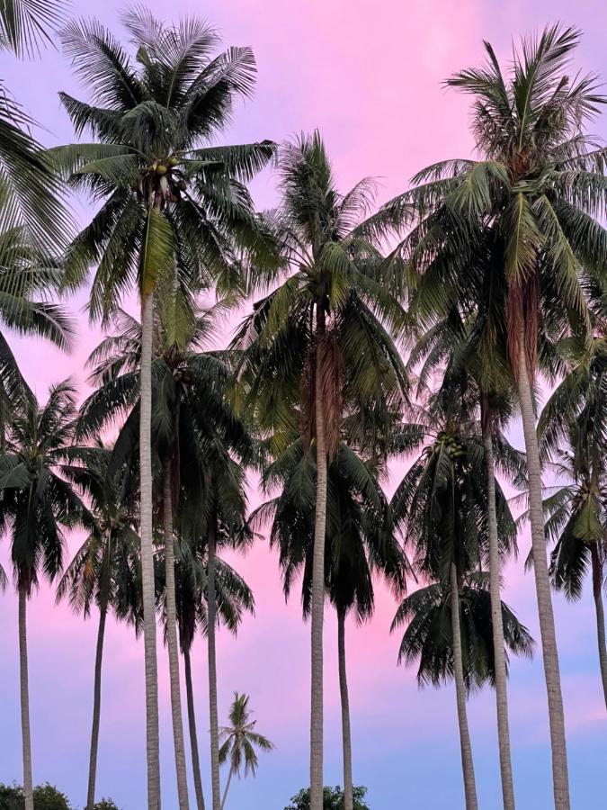Hotel Marilyn's Koh Samui Ban Lamai